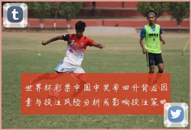 世界杯彩票中国中奖率回升背后因素与投注风险分析或影响投注策略