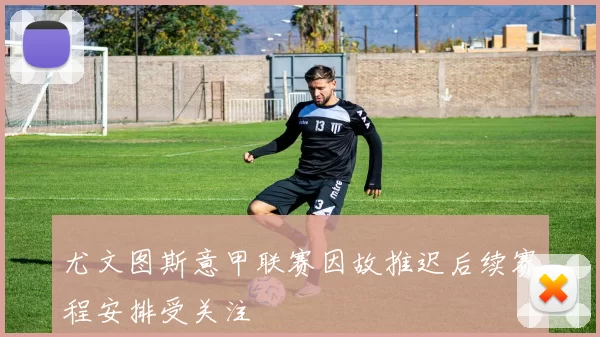 尤文图斯意甲联赛因故推迟后续赛程安排受关注