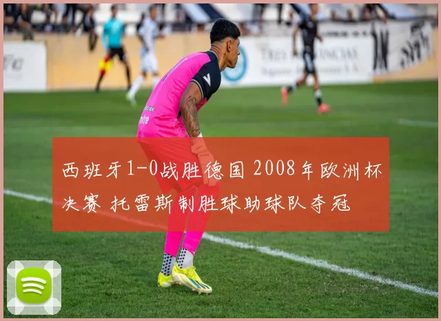 西班牙1-0战胜德国 2008年欧洲杯决赛 托雷斯制胜球助球队夺冠