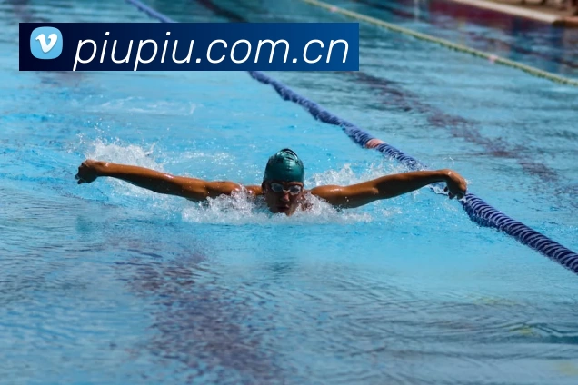 App Interface Preview